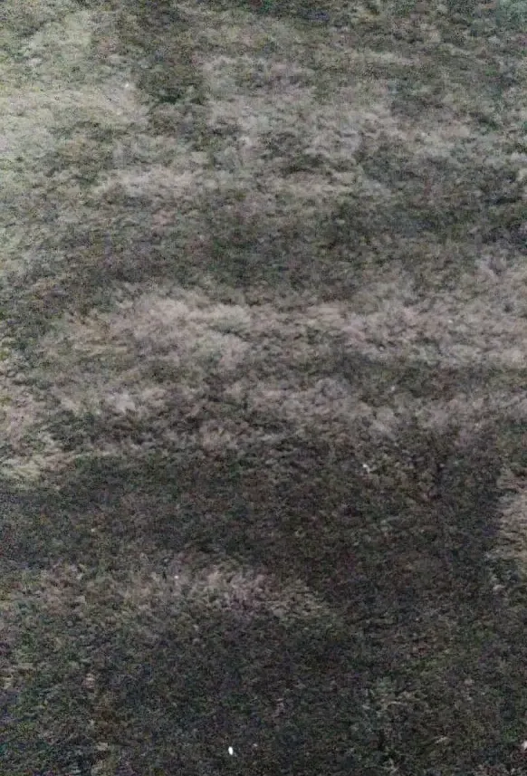 TAPETE ROMA 01.40 X 2.00 ETERNAL/SHAGGY  REF:ETERNAL/SHAGGY