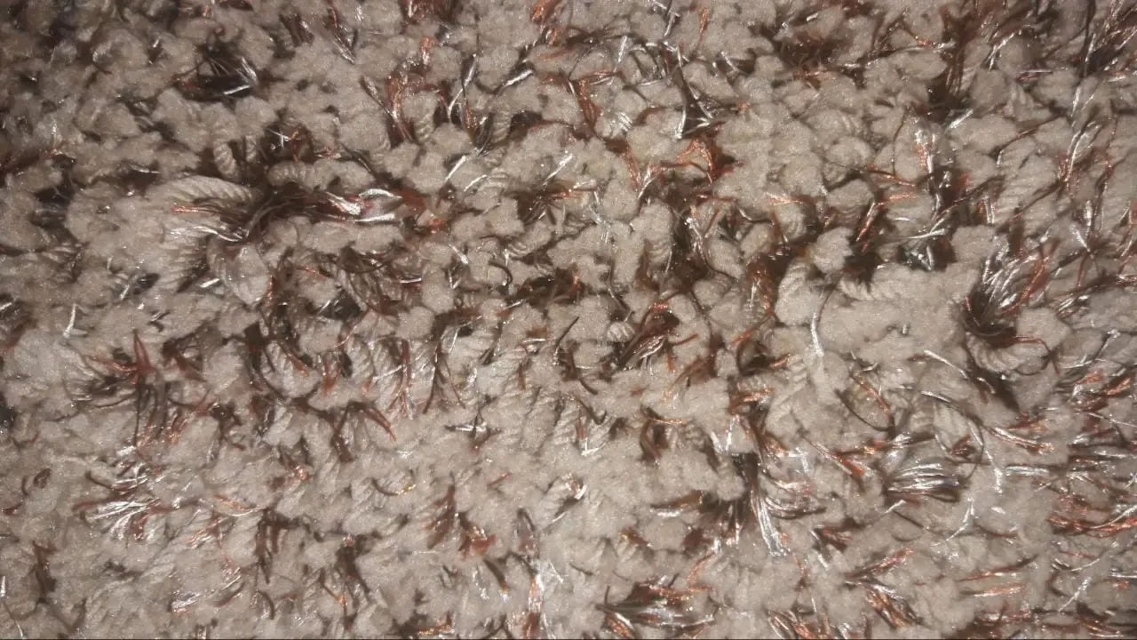 TAPETE JOLITEX 2.00 X 2.50 SHAG MAJESTIC  REF:MAJESTIC