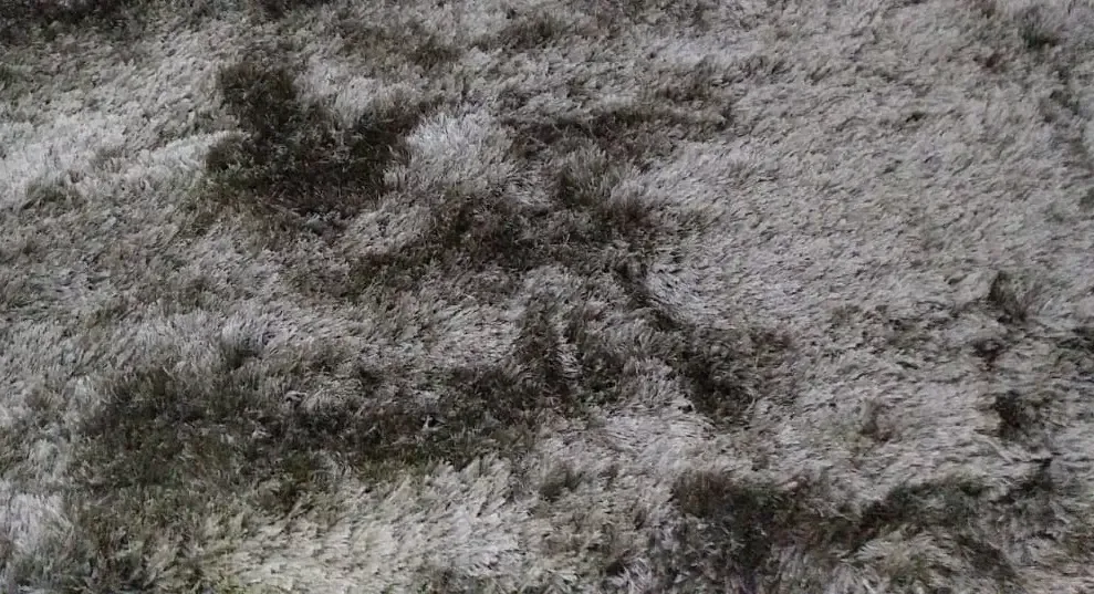 TAPETE FATEX 2.00 X 2.50 KIOTO/HARMONY