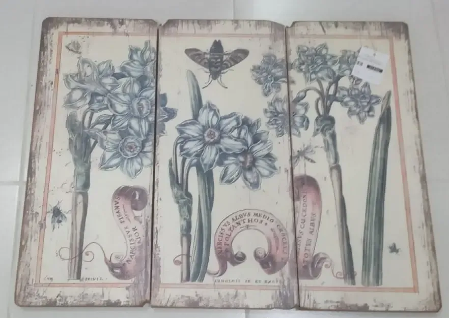 QUADRO CASA BONITA IRIS REF:DE7457