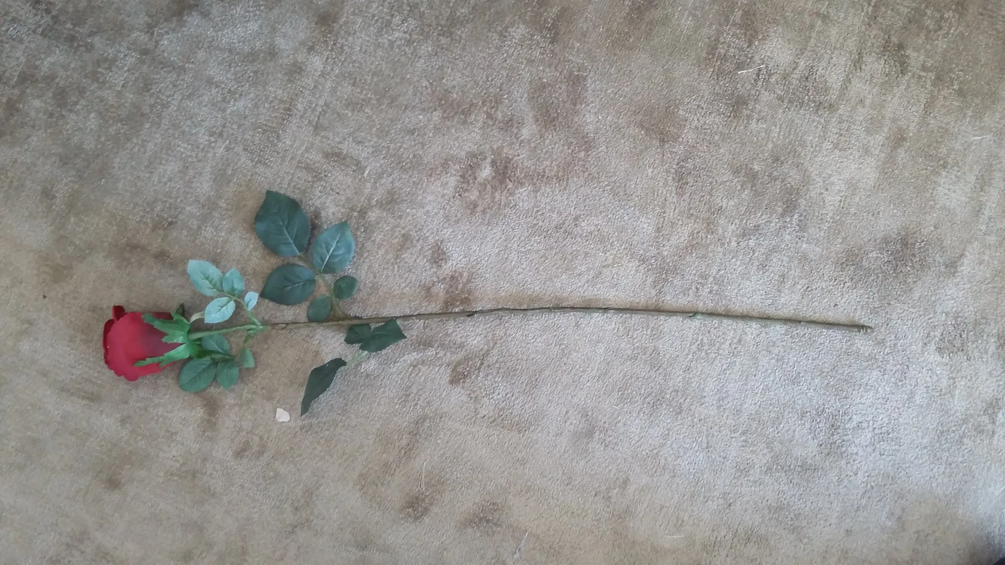 ROSA BELLA DECORVILLE LINIERS  REF:LINIERS