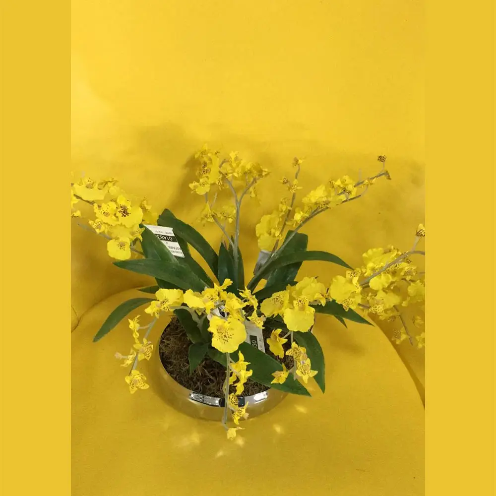 BUQUE FOLHA HERA BRASFAMA HH0005  REF:HH0005