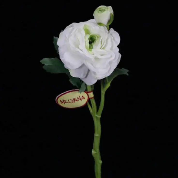 RANUNCULO FERRERO DECORVILLE F0134411 BR  REF:F0134411