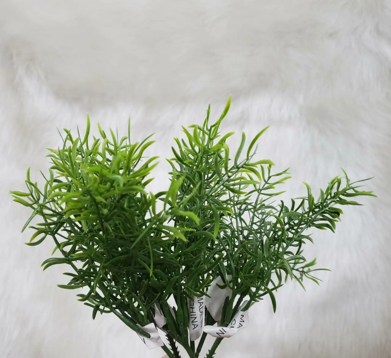 FOLHA CASA REAL GP2245 BOX WOOD PICK  REF:GP2245