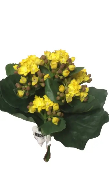 BUQUE CASA REAL HORTENCIA/KALANCHOE  REF:351-0773