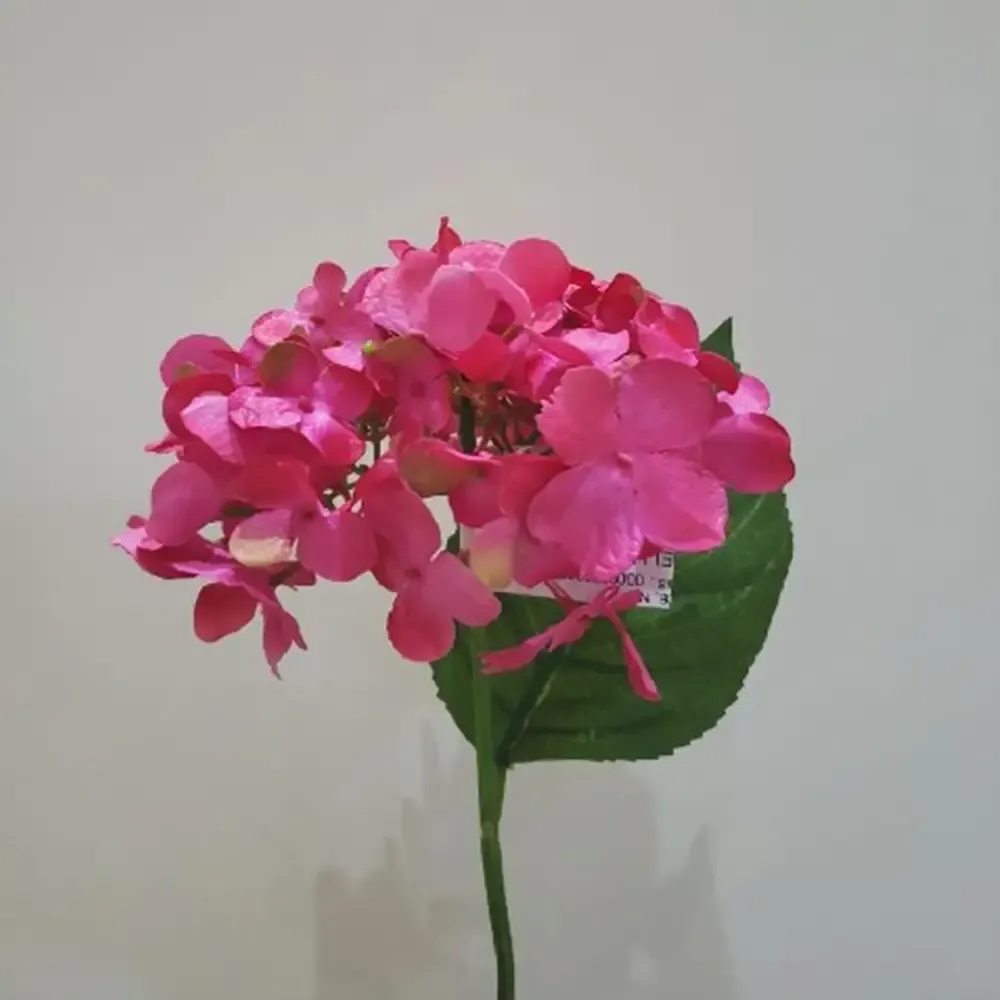 GALHO HORTENCIA/HELLBORR/PEONI CASA REAL  REF:006