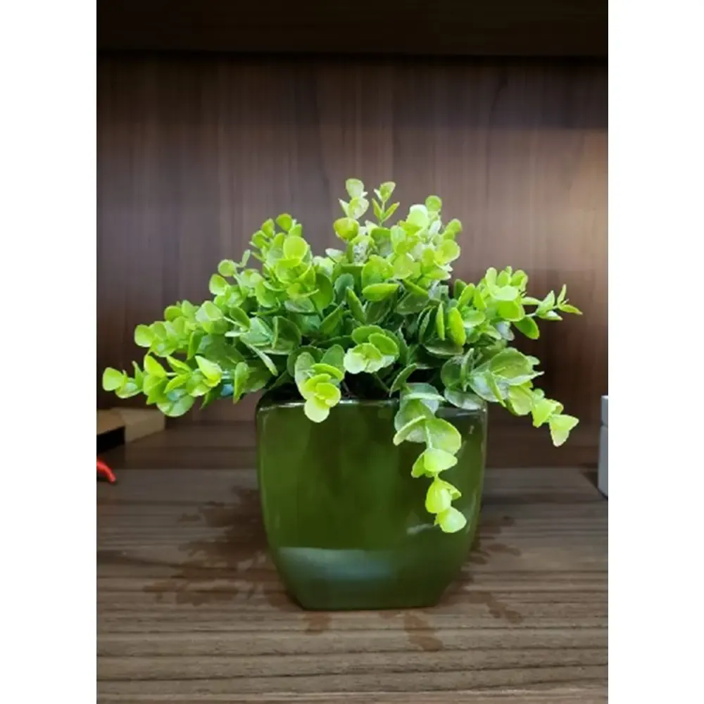 ARRANJO CHALE KALE 17994 CHIFRE/BOXWOOD  REF:17994 2