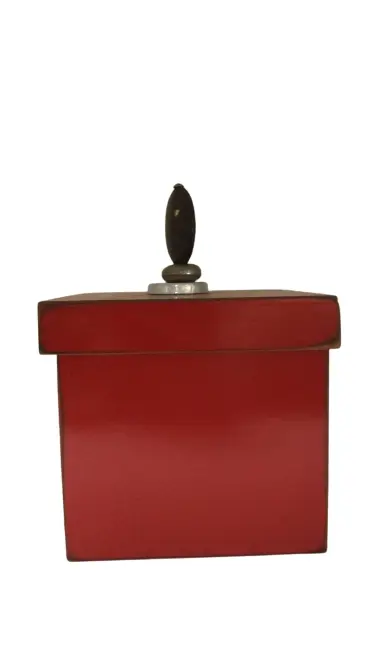 CAIXA REGINEZ 41092 GRAUNA GD  REF:AF2276