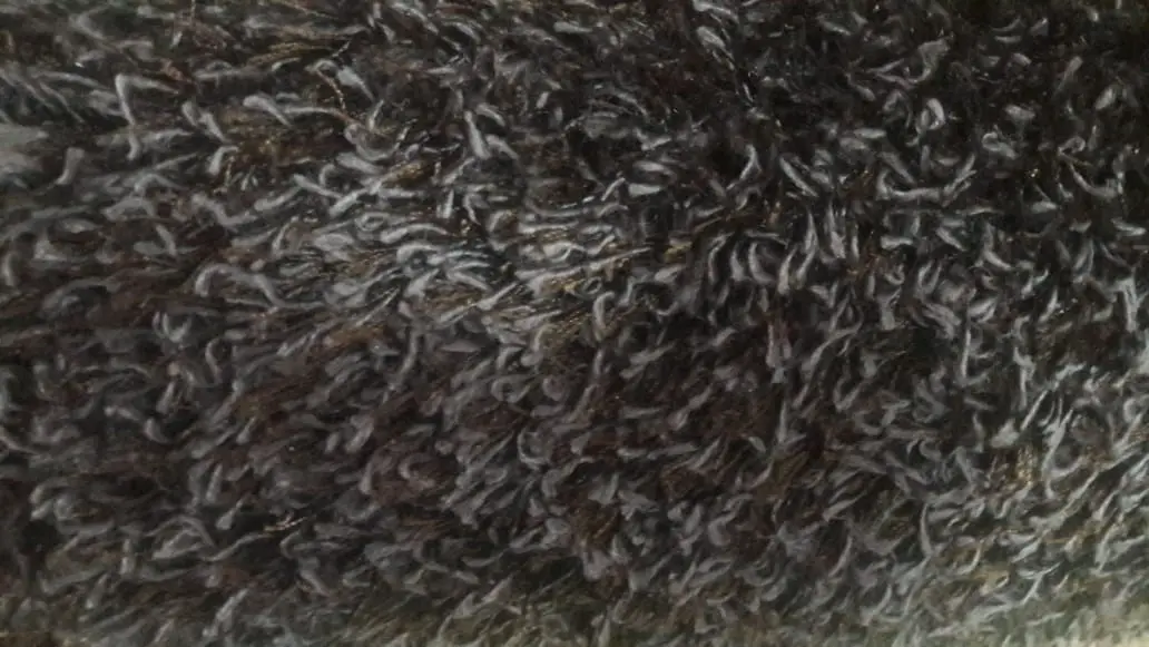 TAPETE FATEX 2.00 X 2.50 STANFORD  REF:STANFORD