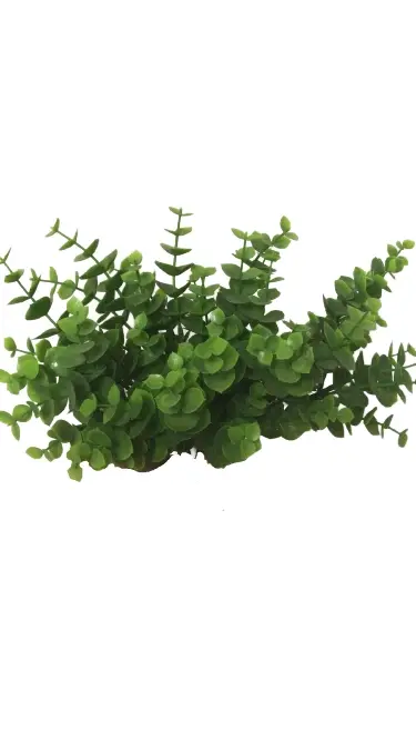 PICK CASA REAL MINI FEATHER/EUCALYPTUS  REF:161132/103932