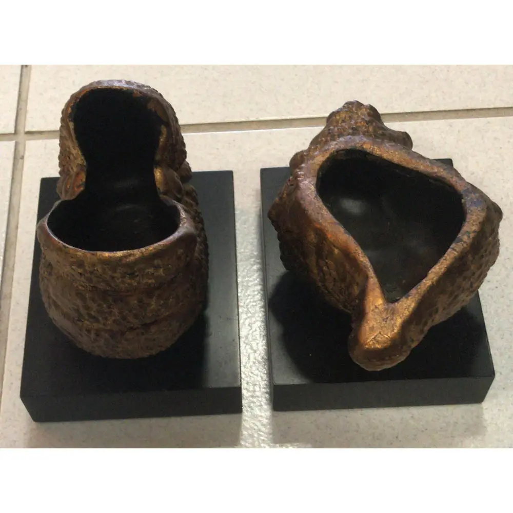 ADORNO ZIPPING GOLDEN SHELL  REF:AP000112