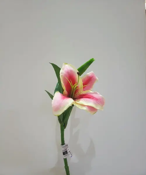 GALHO CASA REAL LIRIO/LAVENDER/VIME  REF:161793 2