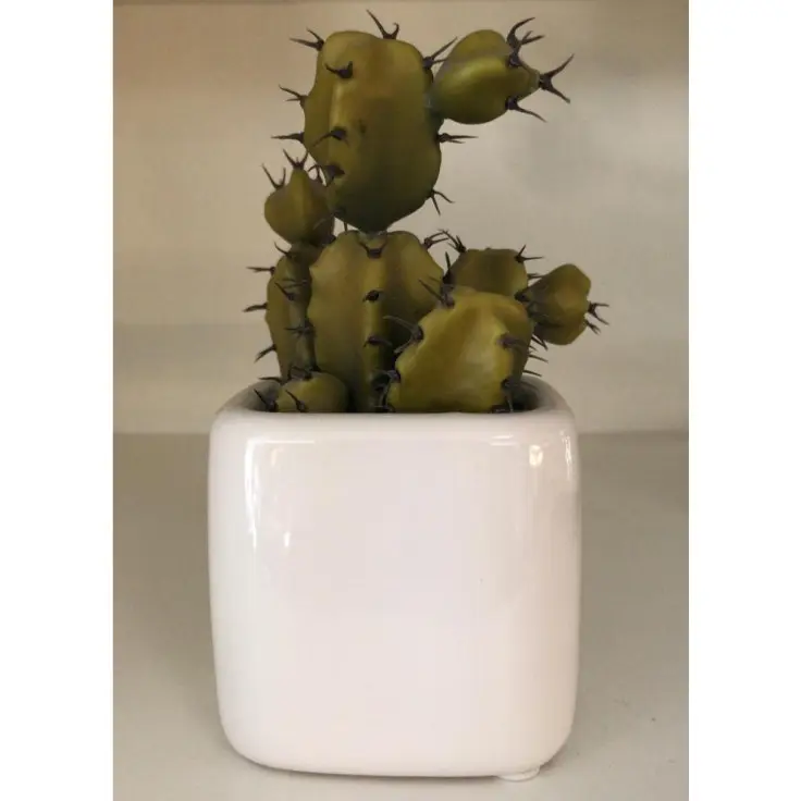 CACTUS D.A INOVACOES C/ PEDRINHA VASO  REF:A3269