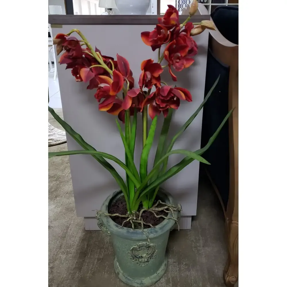 ARRANJO CHALE KALE 18913 ORQ. CYMBIDIUM  REF:18913 2