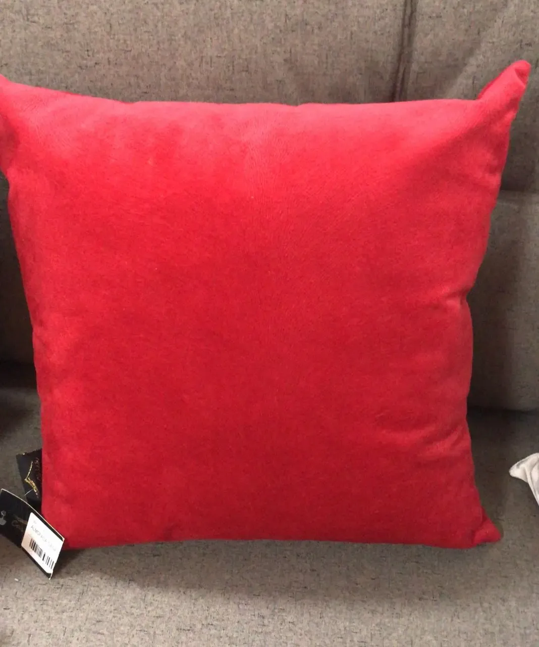 ALMOFADA CASA CHICK 2