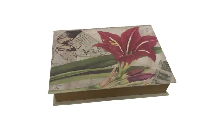 BOOK BOX GOODS 138001 A 138020 DIVERSOS