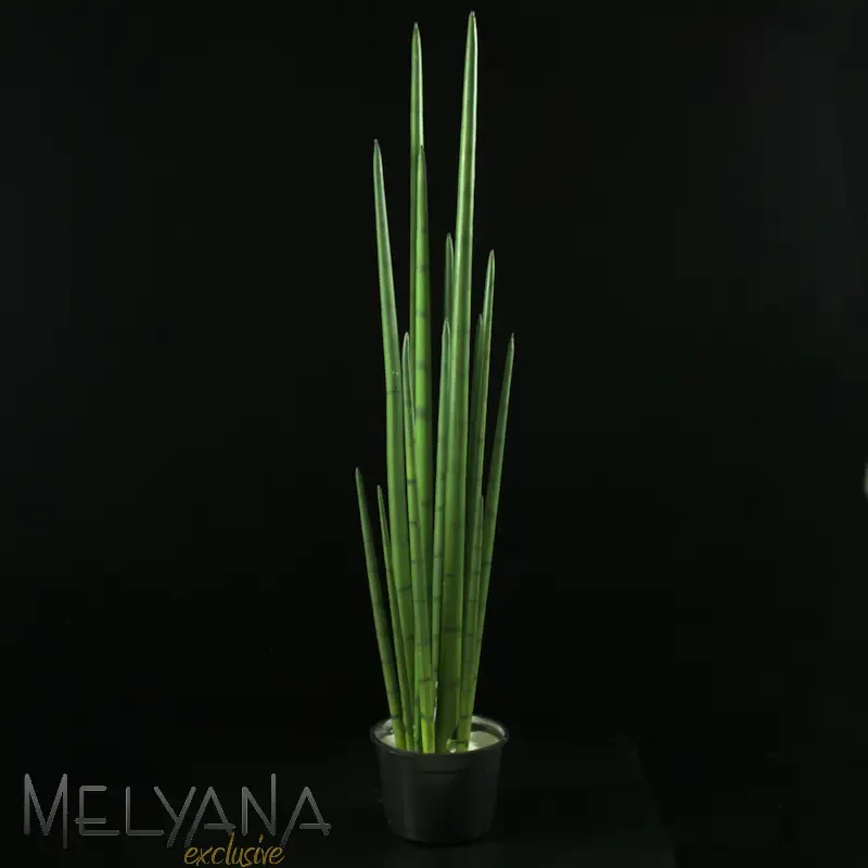 LANCA SAO JORGE MELYANA 12743 M S/ VASO