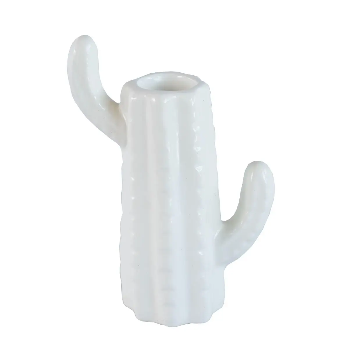 PORTA TRECO KLEINER SCHEIN CAQ004U CACTO ALTO BRILHO BRANCO