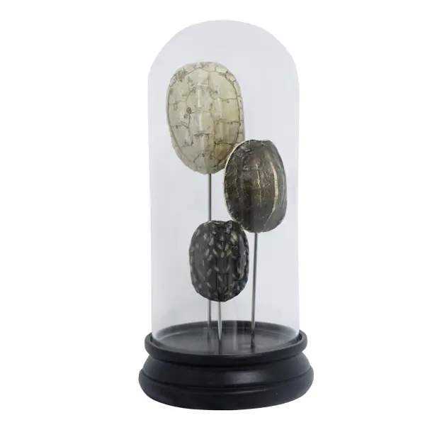 ESCULTURA RESINA GOODS 74021 TURTLE SHELL