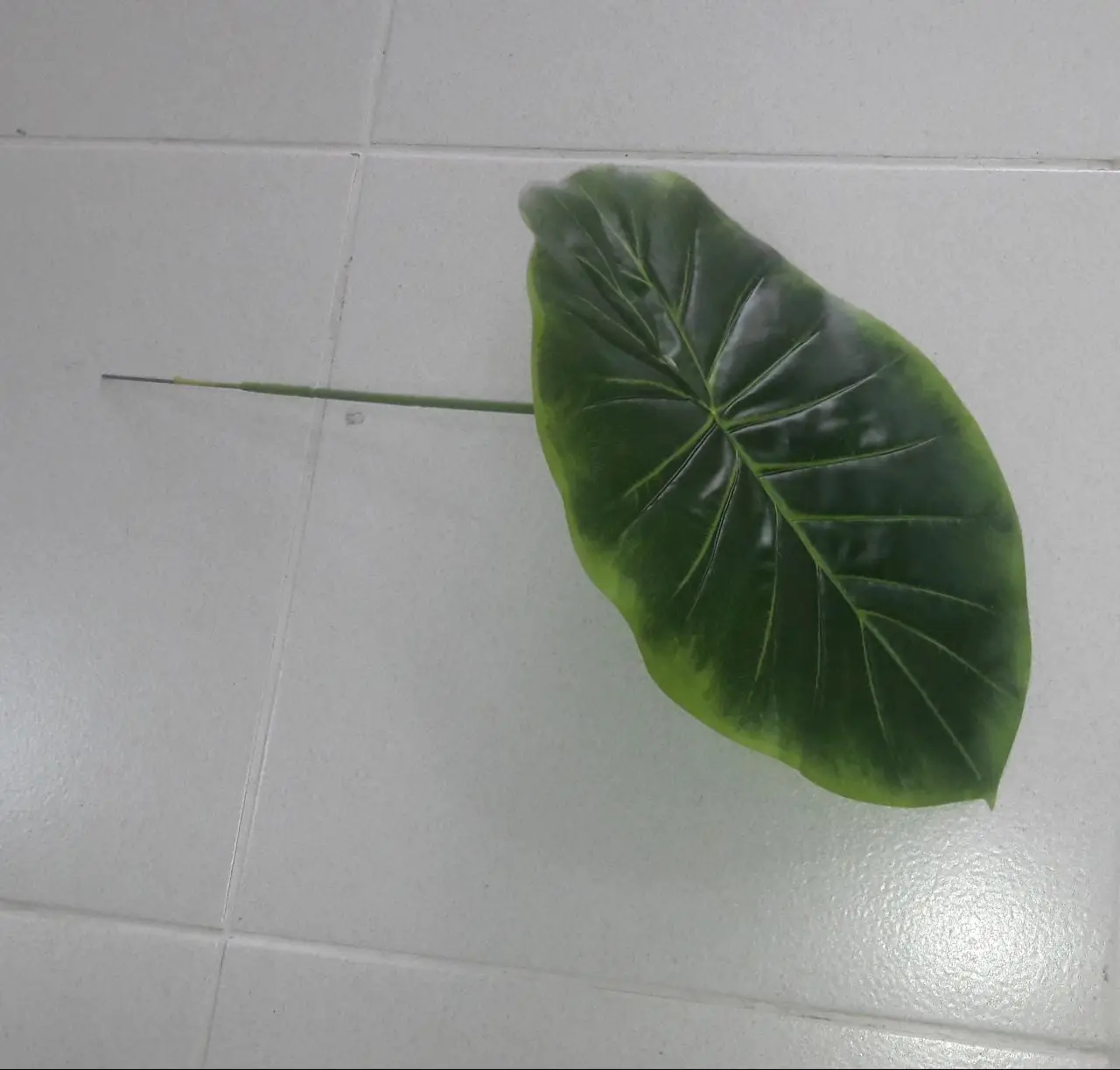 FOLHA CASA BONITA 109885 JIBOIA AVULSA