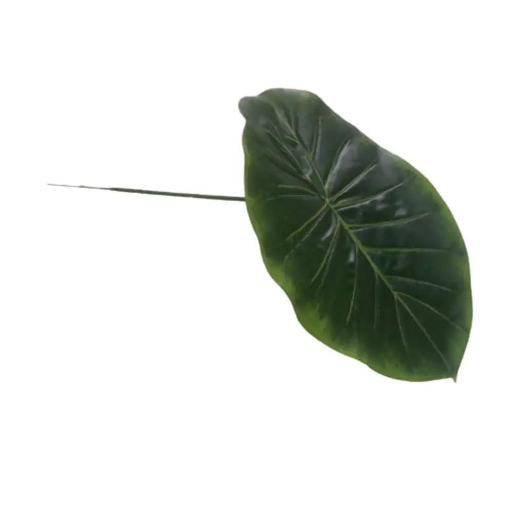 FOLHA CASA BONITA 109885 JIBOIA AVULSA 2