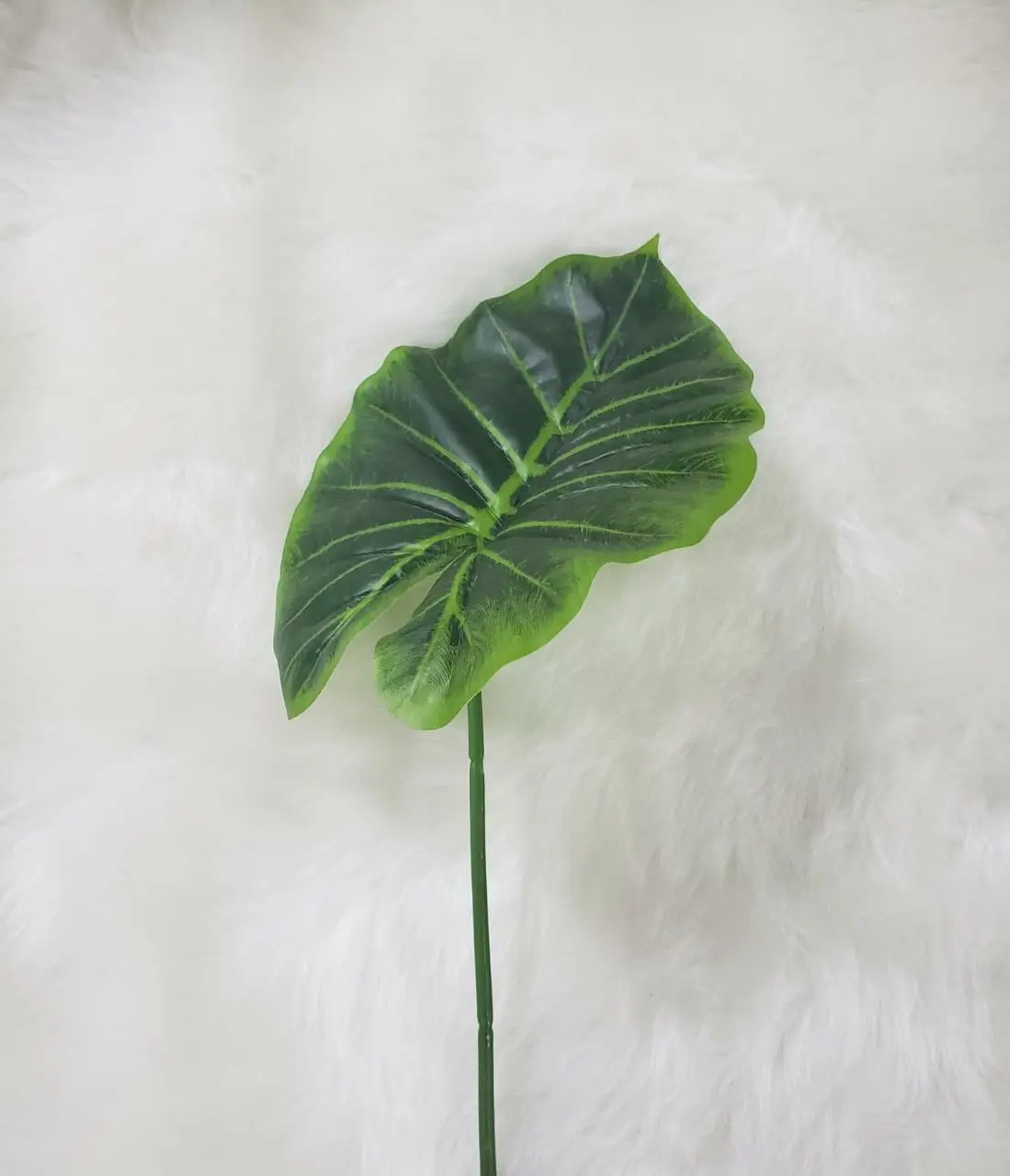 FOLHA BEGONIA VANESSA B0762-15