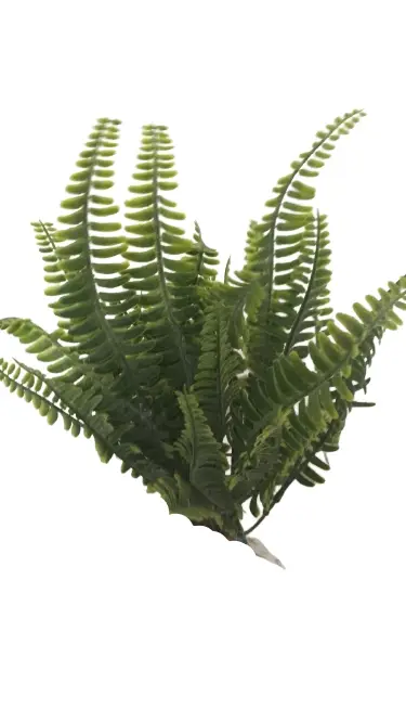 BUQUE SAMAMBAIA VANESSA VERDE 91836