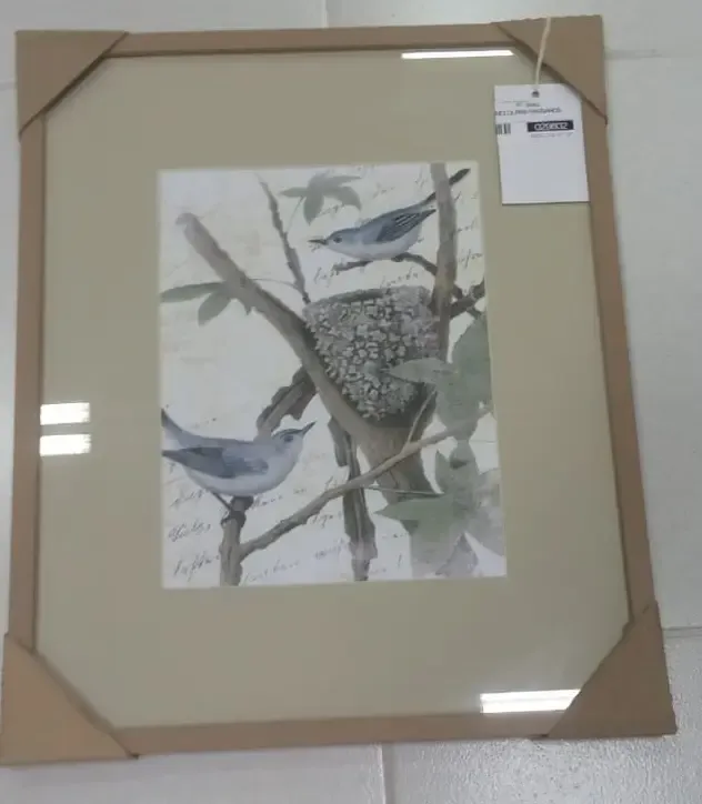 QUADRO R A MOLDURAS PASSAROS