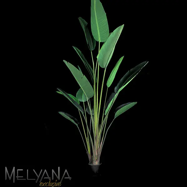 BANANEIRA JARDIM MELYANA 13374 260CM VERDE