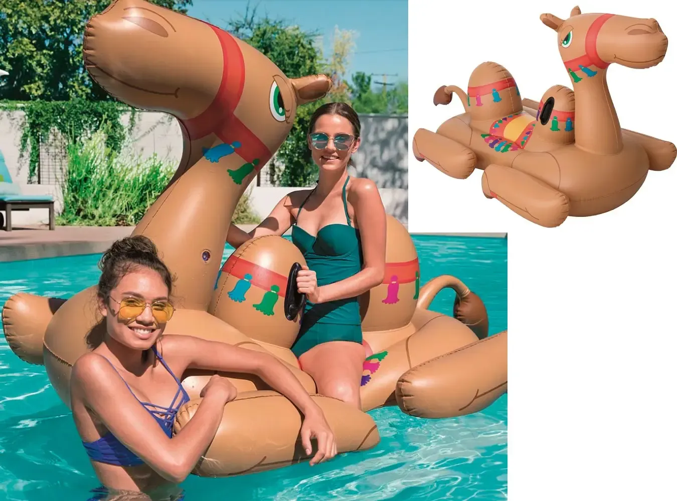 BOIA MOR 1983 CAMELO