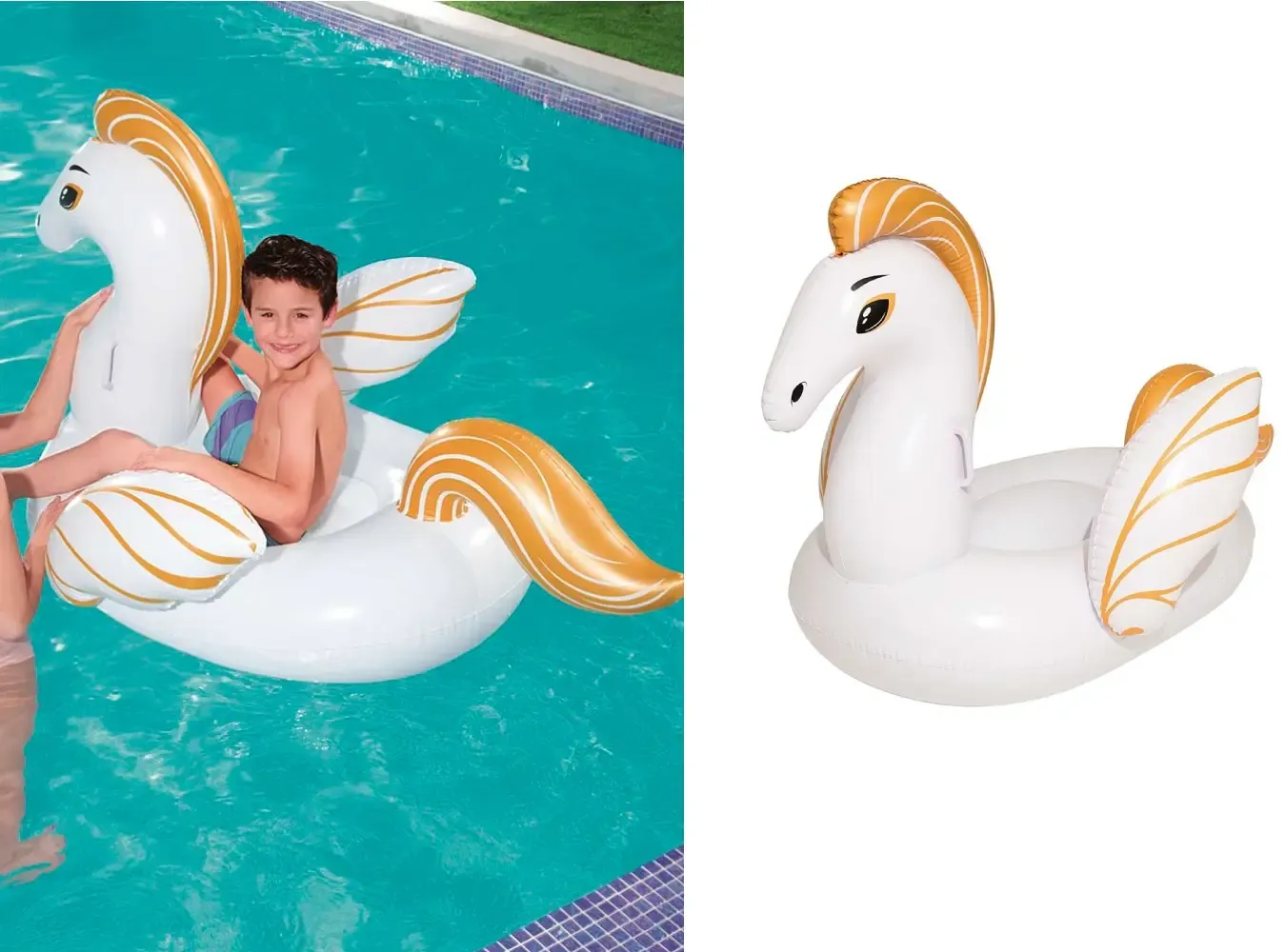 BOIA MOR 1981 PEGASUS M