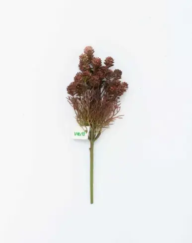 BUQUE VERTI IBERICO BORDO(BL)