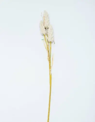 HASTE VERTI TABOA BRANCA(BL)