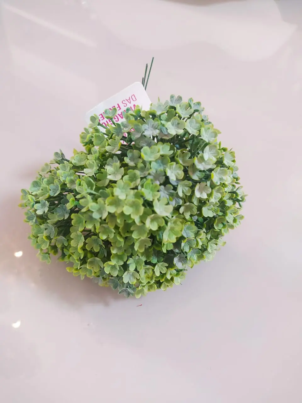 PICK VANESSA FOLHAS X6 001100