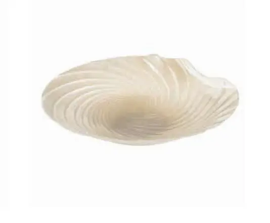 CENTRO DE MESA WOLFF 28905 VIDRO CONCHA PEROLADO