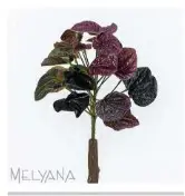 PEPERONIA MELYANA 14490 BURGUNDY VINHO