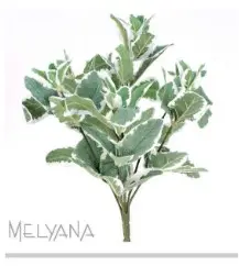 SALVIA MELYANA 13885 TRICOLOR/BUSH