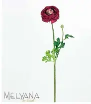 RANUNCULUS MELYANA 9029 VERMELHO