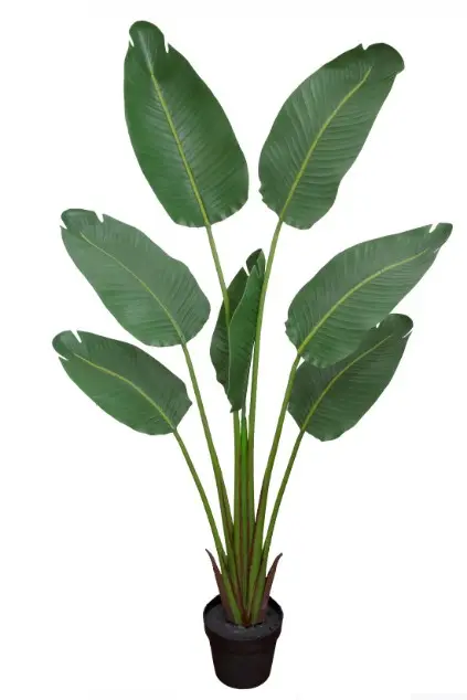 ARVORE BRILLIANCE PALMEIRA RAVENALA(BL)