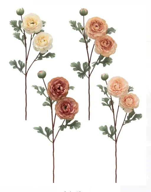 HASTE BRILLIANCE RANUNCULUS 4 CORES(BL)