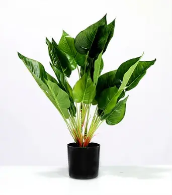 PLANTA GOODS 166265 ANTURIO PVC C/ VASO PRETO