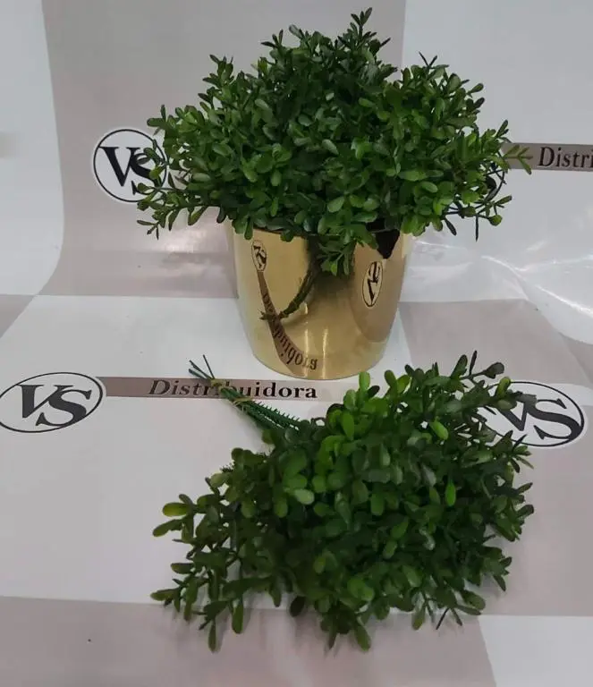 PICK VANESSA ARRUDA X6 24CM LY0077