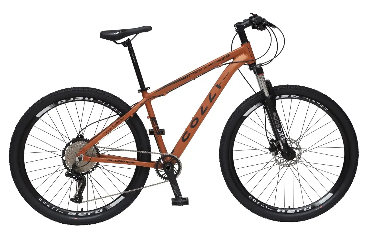 BICICLETA A29 COLLI  ALUM. CAMBIO 1X12 TERRACOTA Q17