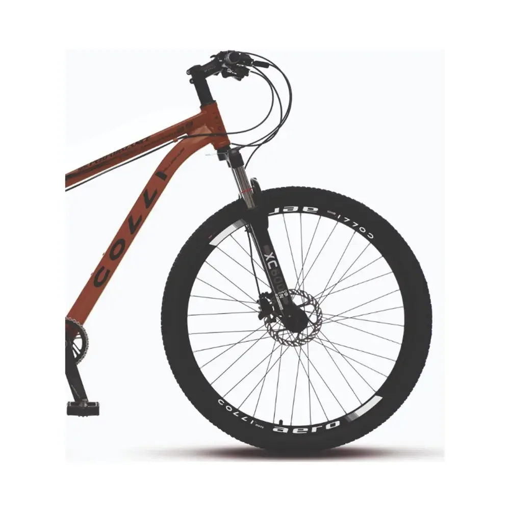 BICICLETA A29 COLLI  ALUM. CAMBIO 1X12 TERRACOTA Q17 4