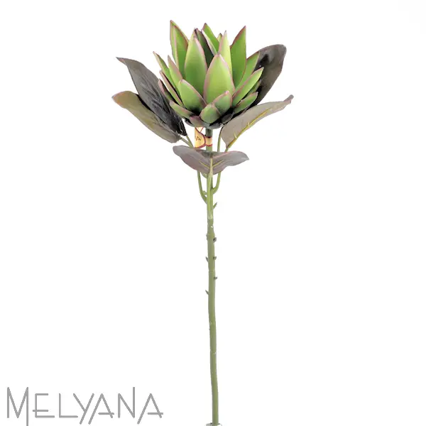 GALHO SEMENTES FLORARTE 97332003 CHA 2T OUTONO(BL)