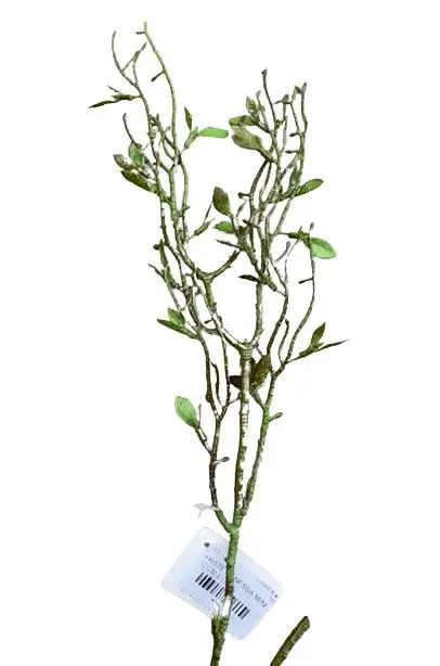 HASTE VANESSA MINI GALHOS SECOS 52CM ED0052