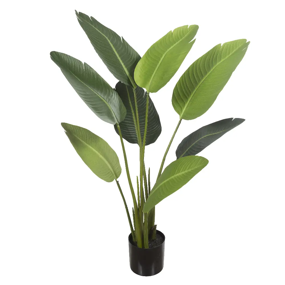 ARVORE FLORARTE 43963001 BANANEIRA DE JARDIM(BL)