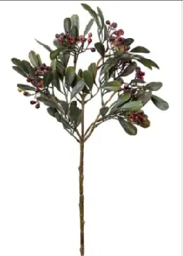 HASTE BRILLANCE BERRY MX787 56CM(BL)