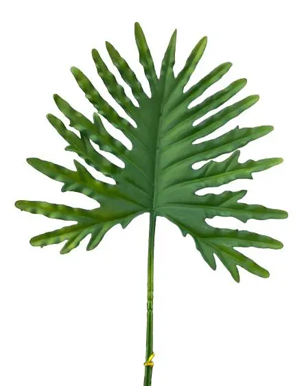 FOLHA VANESSA COSTELA LUXO 8060