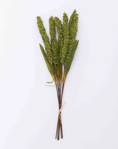 HASTES VERTI SORGO(BL)